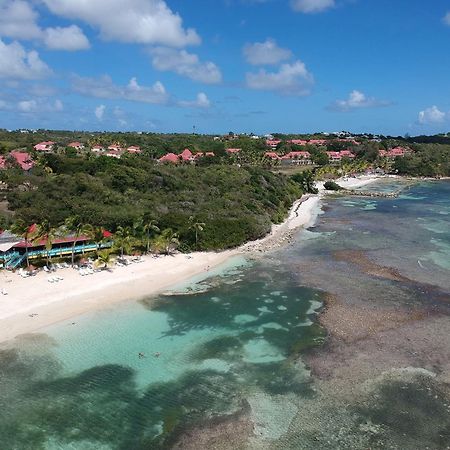 Studio Olia A P&V - Plages, Piscines Et Vue Mer! Sainte-Anne  Zewnętrze zdjęcie